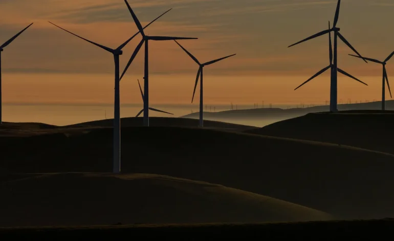 US Pays to Scrap Offshore Wind as Trump Doubles Down on Oil and Gas