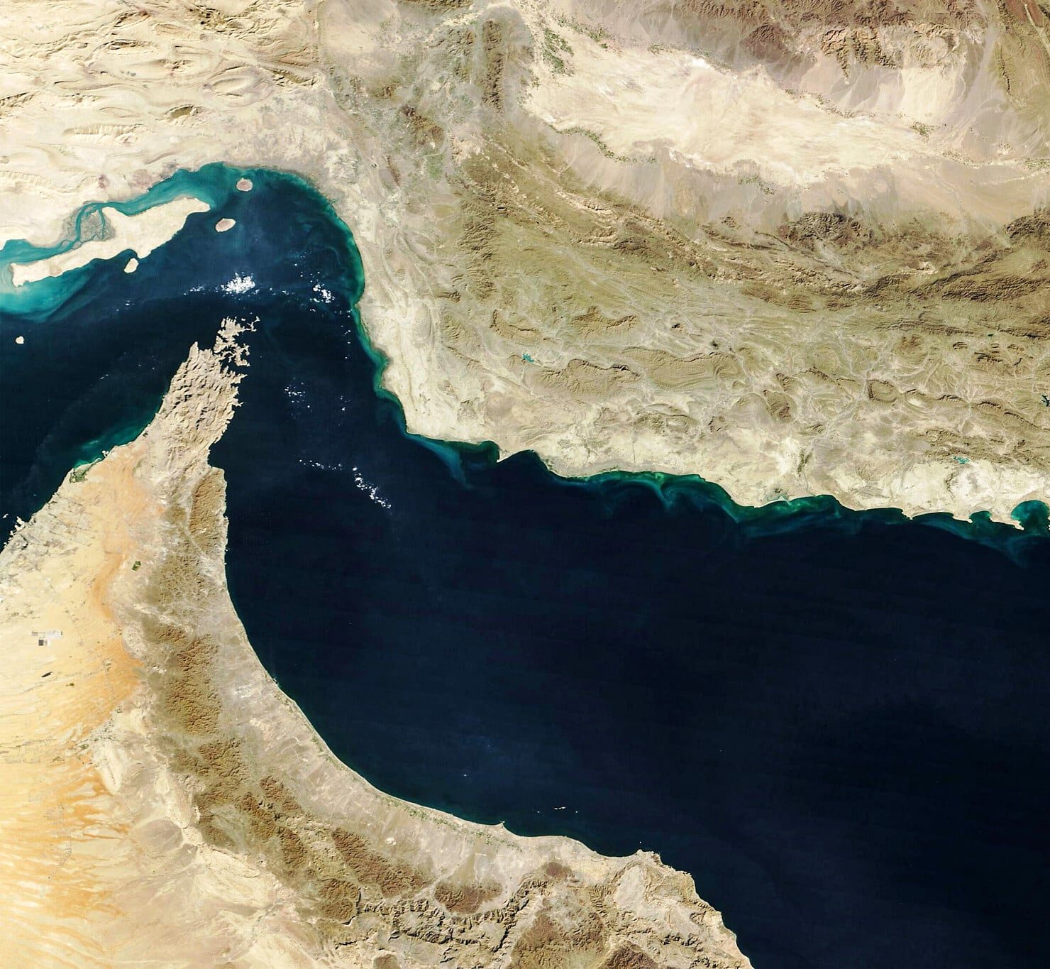 EXCLUSIVE: Operation Epstein Fury Part 2. Economic Fallout.