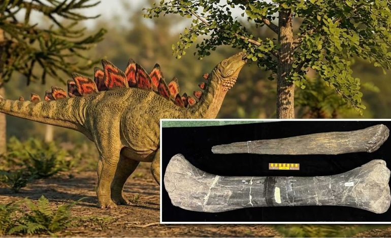 Alcovasaurus: The Wyoming Dinosaur That Almost Went Extinct Again After Discovery