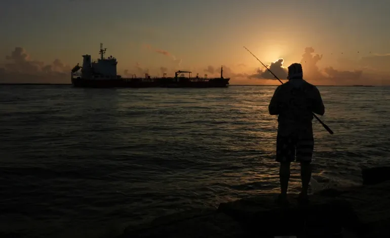 US panel lifts species protections for Gulf drilling, citing security concerns