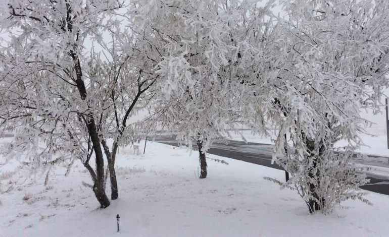 April snow too little, too late to save Wyoming’s historically low snowpack