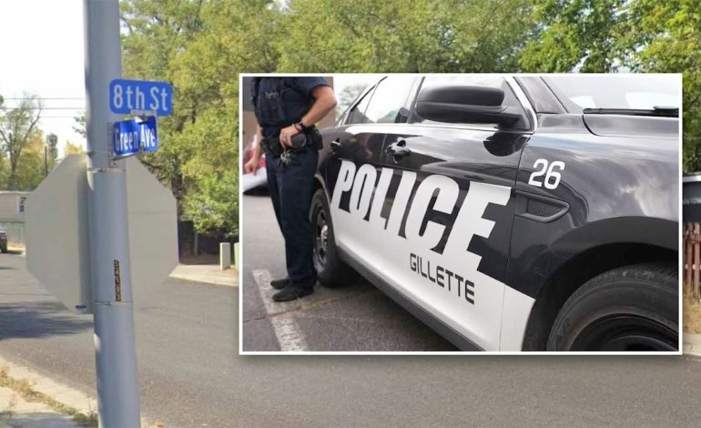 Gillette woman says she tried to burn down shed to kill ‘black panthers’ inside