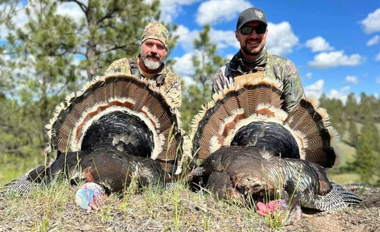 Huge Wyoming turkey season expected on heels of warm winter