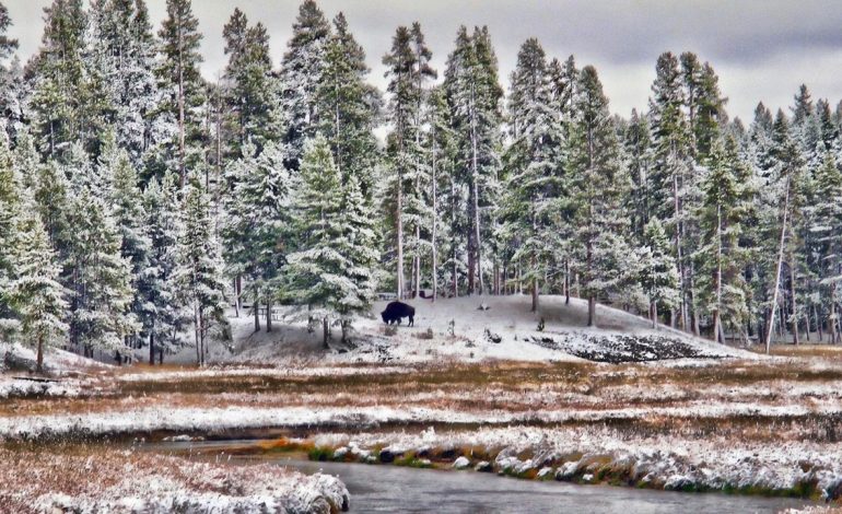 Freezing cold front to bring snow, 60 mph winds across much of Wyoming