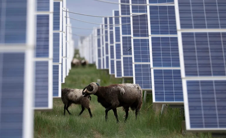 Energy Shock from Iran War Gives China’s Clean Tech Industry a Timely Boost