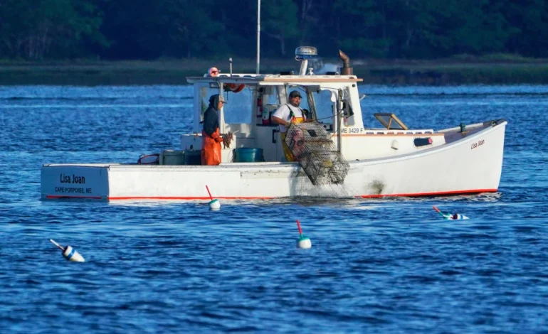 Sustainable Seafood Got Complicated – and Shoppers Are Struggling to Keep up